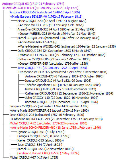 Descendant chart showing Ferdinand Criqui / Jean Criqui relationship