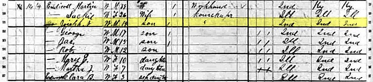 1880 US Federal Census, Illinois, Gallatin Co., New Market Precinct, E.D. 19, Sheet 512B, Line 19.